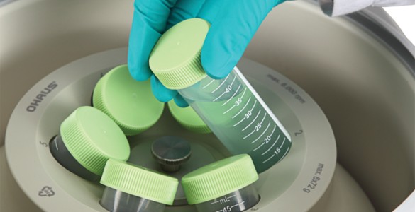 Liquid Food Production Liquid Food Production