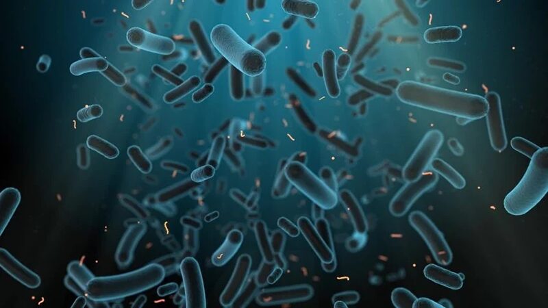Clarification of E. coli Lysate